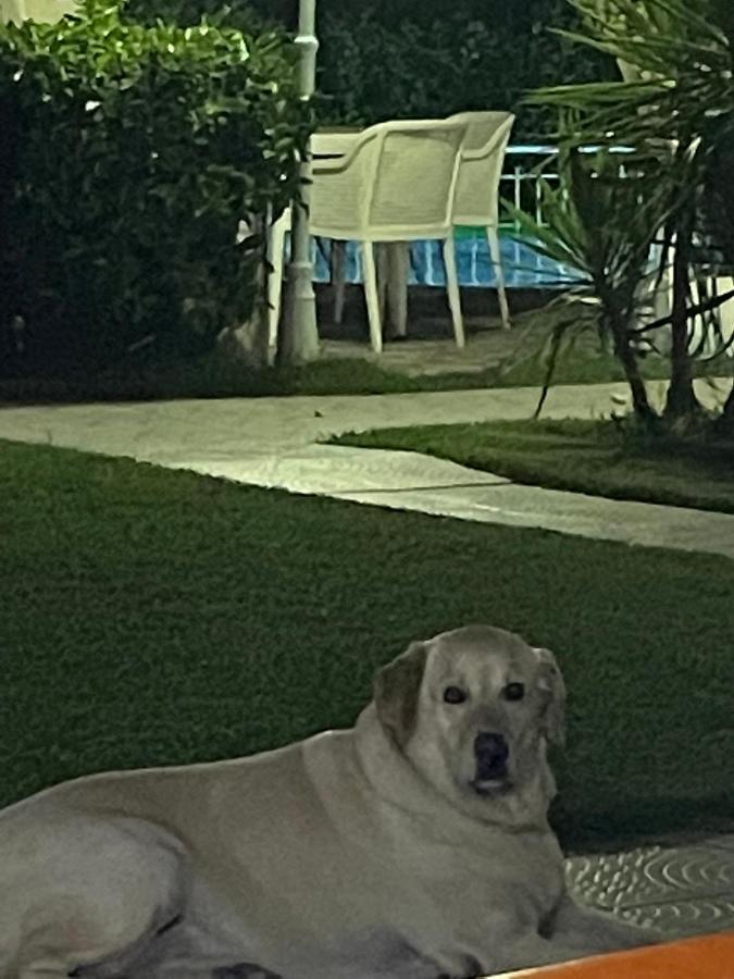 Belka Golf Residence Poolside Apt1 ベレキ エクステリア 写真